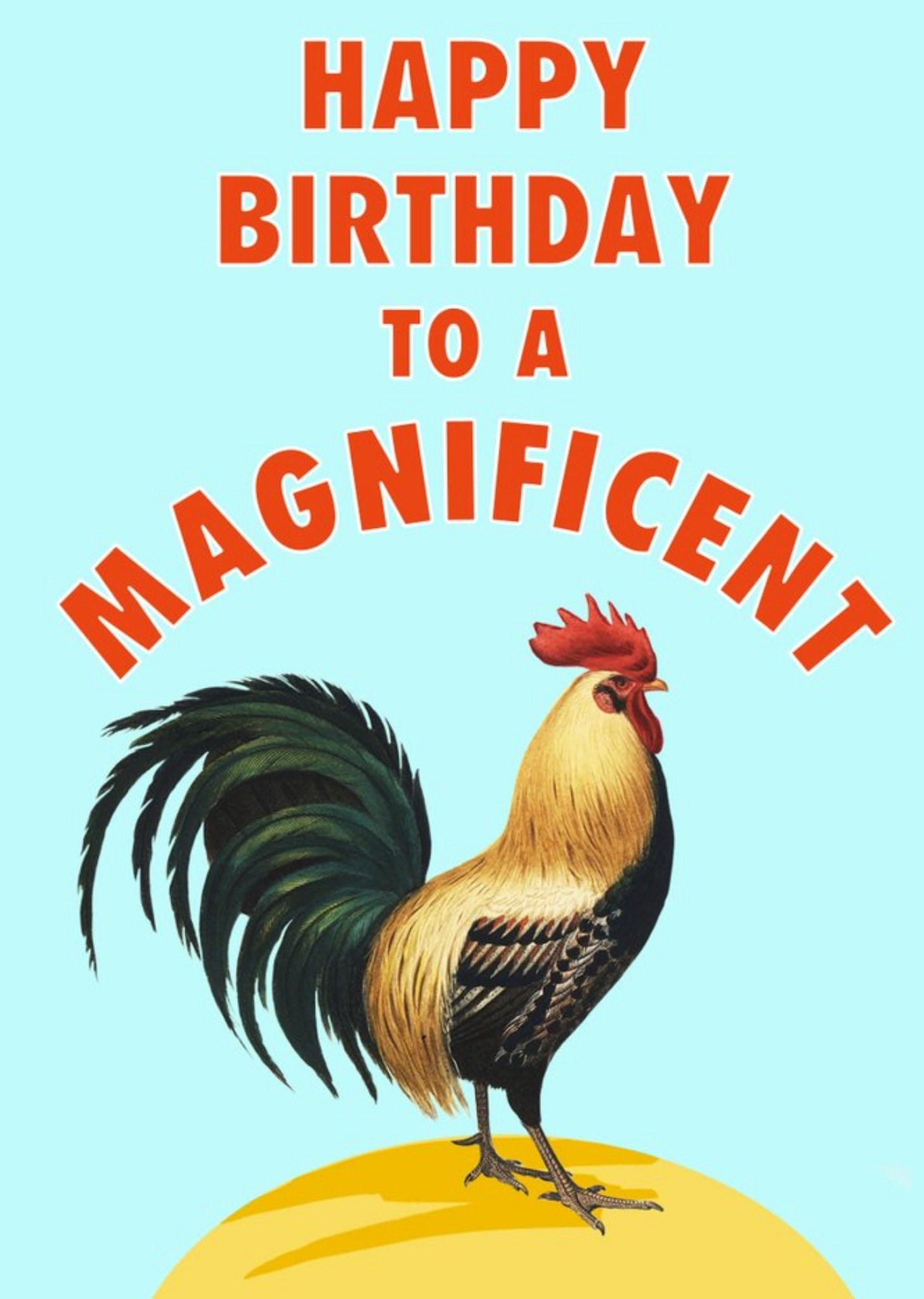 Funny Magnificent Coq Friend Birthday Card Ecard