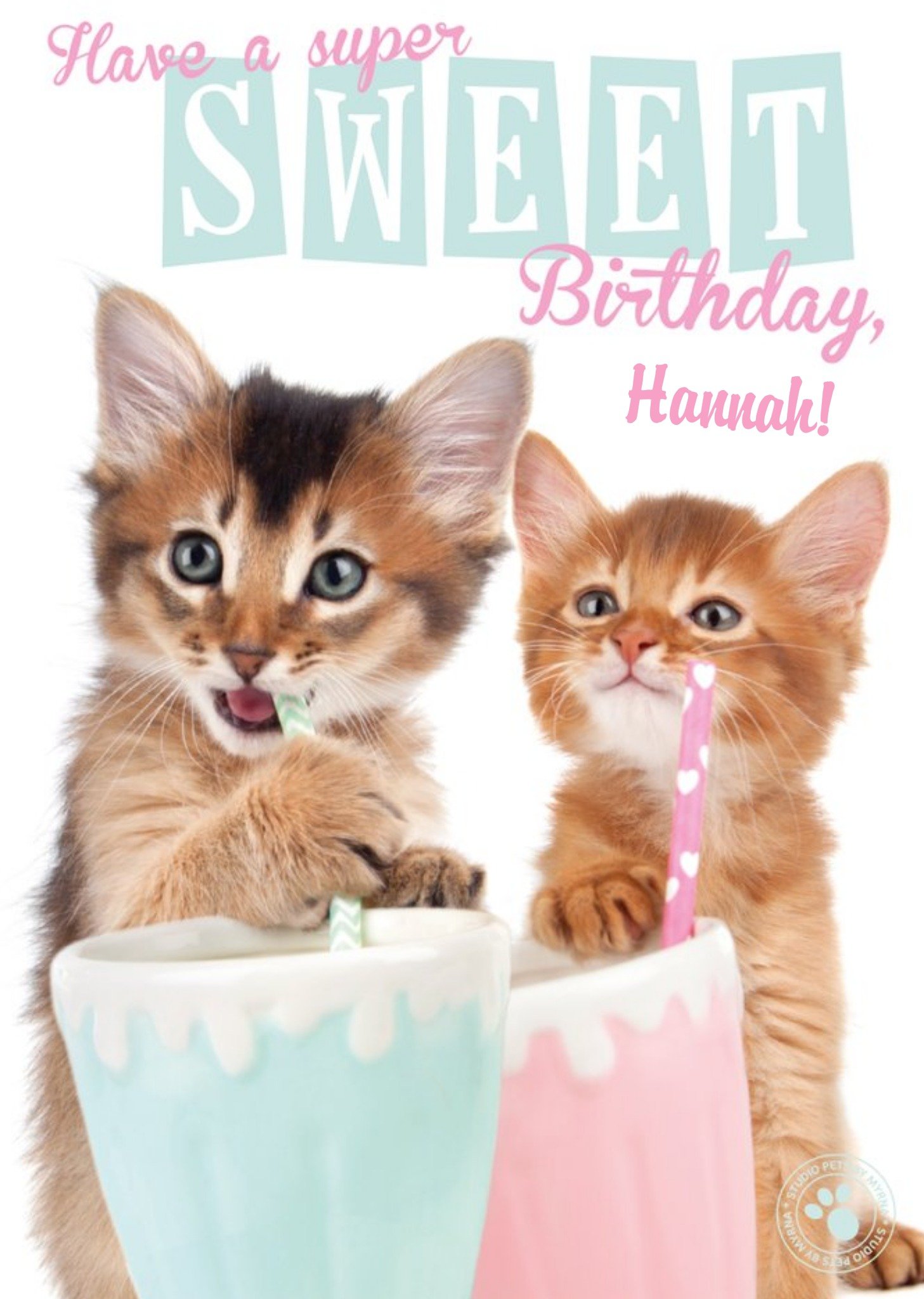 Studio Pets Kitties And Milkshakes Happy Birthday Card, Large