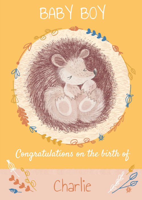 Super Sweet Illustrated Curled Up Hibernating Hedgehog Birthday Card