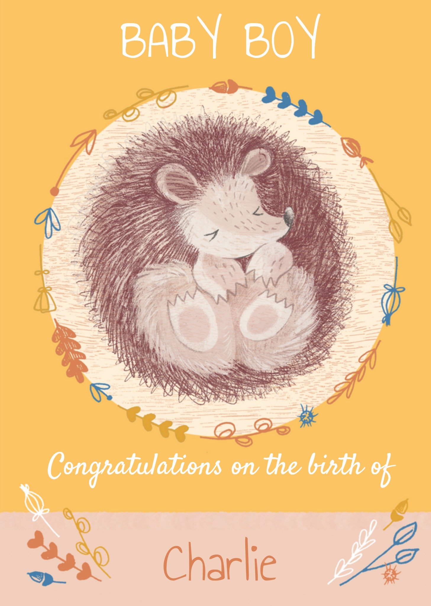 Moonpig Super Sweet Illustrated Curled Up Hibernating Hedgehog Birthday Card, Large