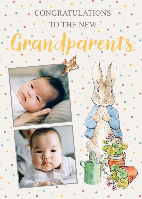 Peter Rabbit Congratulations To The New Grandparents Photo Upload New Baby Card