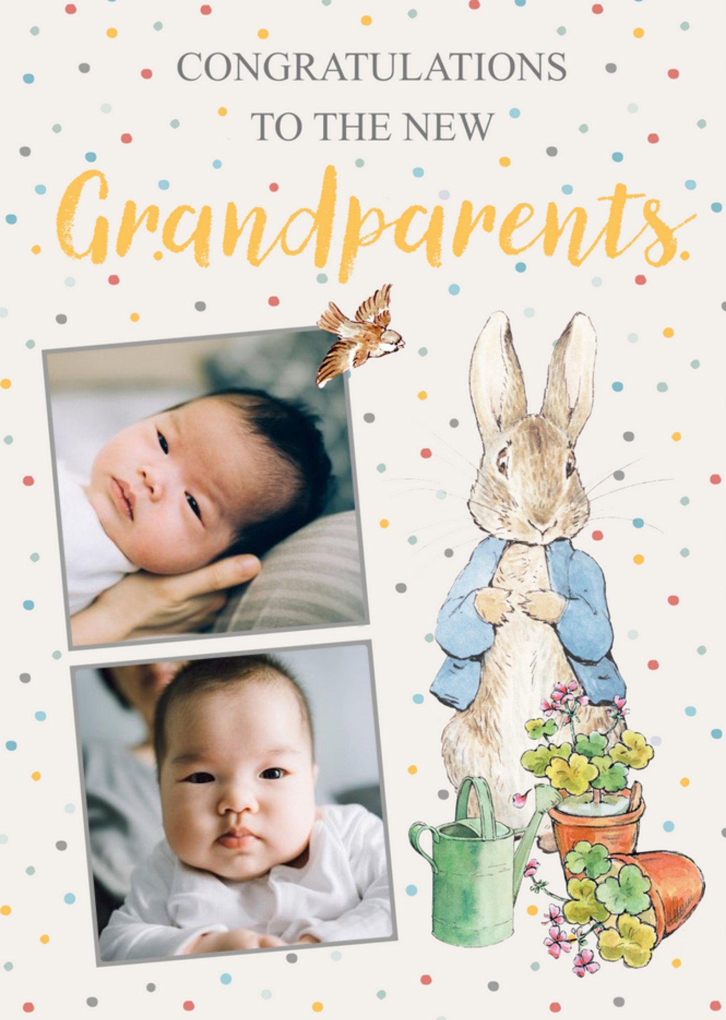 Beatrix Potter Peter Rabbit Congratulations To The New Grandparents Photo Upload New Baby Card, Larg