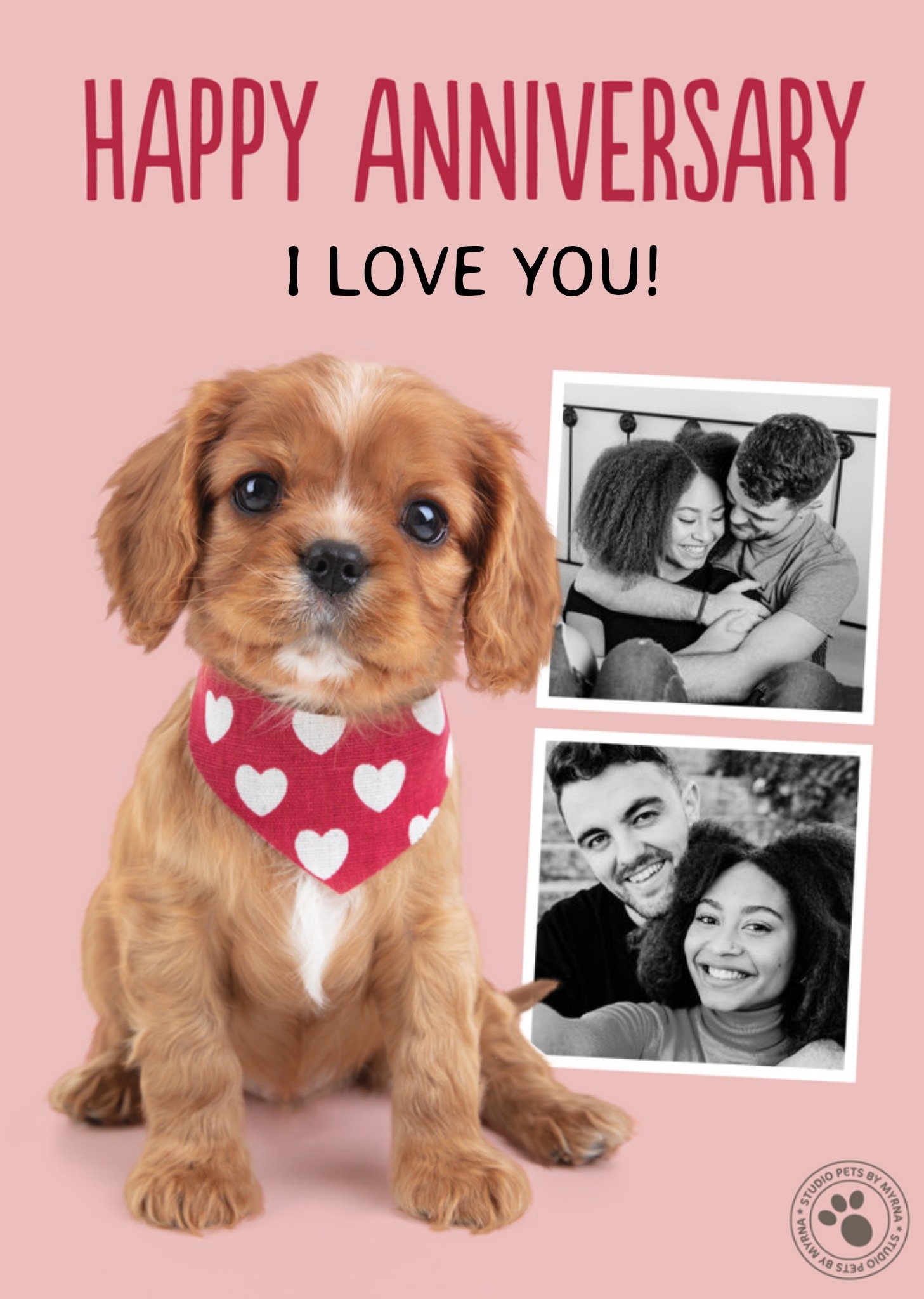Studio Pets Cavalier Puppy Photo Upload Anniversary Card, Large