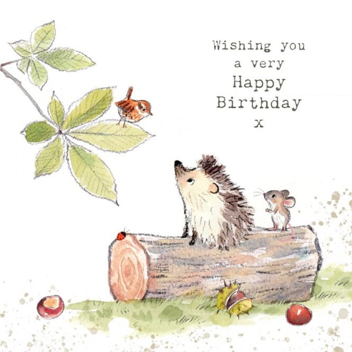 Illustration Of A Hedgehog A Mouse And A Bird Birthday Card
