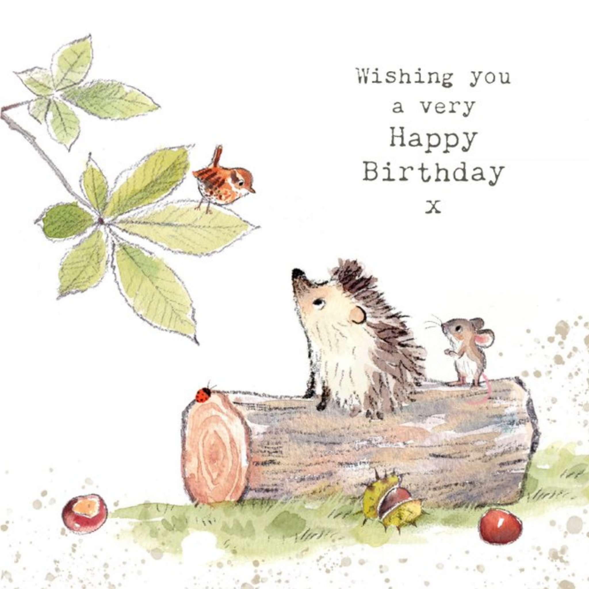 Moonpig Illustration Of A Hedgehog A Mouse And A Bird Birthday Card, Square