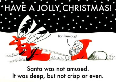 Santa Was Not Amused Funny Have a Jolly Christmas Card