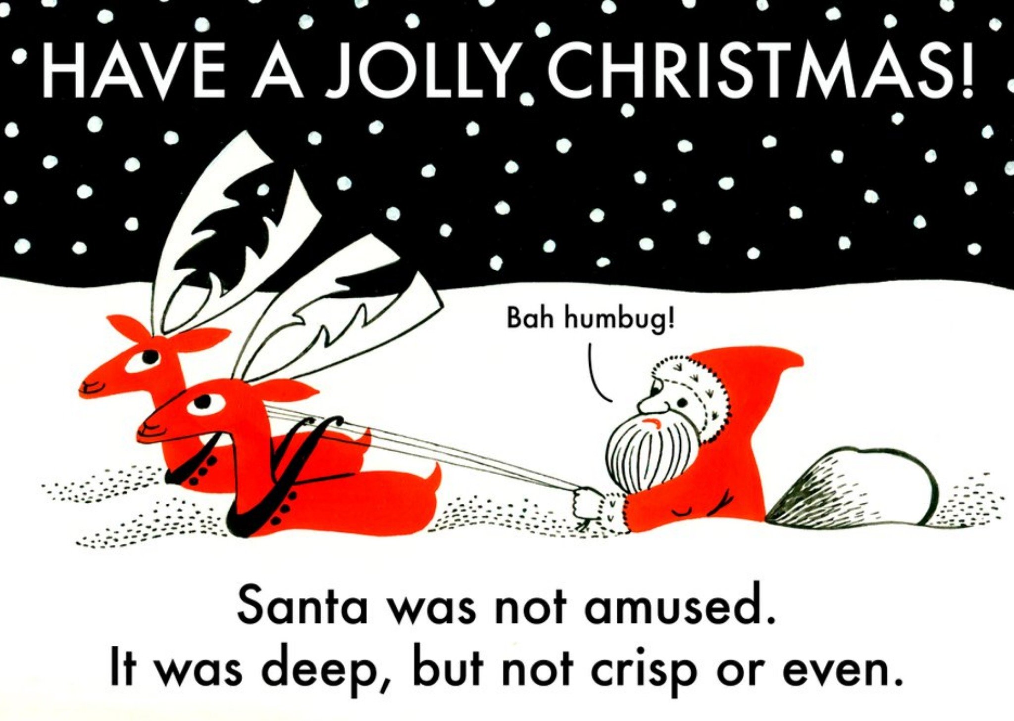 Santa Was Not Amused Funny Have A Jolly Christmas Card