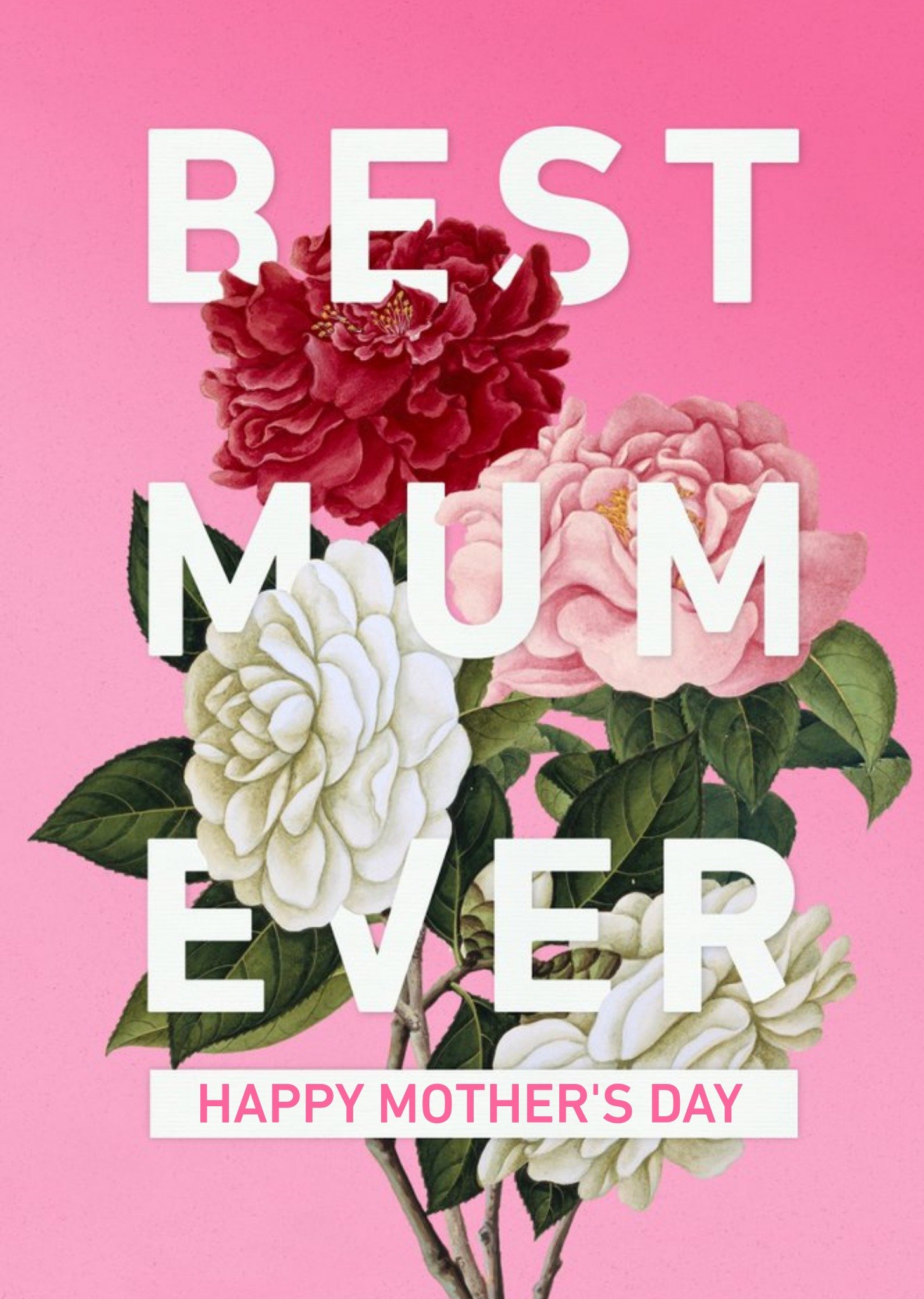 The Natural History Museum Bold Letters And Flowers Best Mum Ever Cool Mother's Day Card Ecard