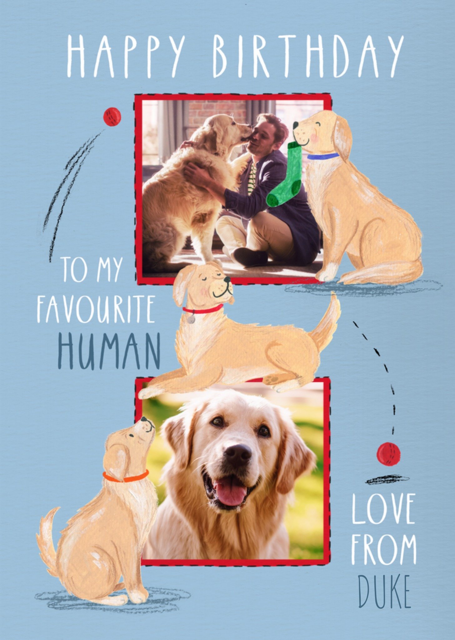 Moonpig Fun To My Favourite Human Illustrated Dogs Photo Upload Birthday Card, Large