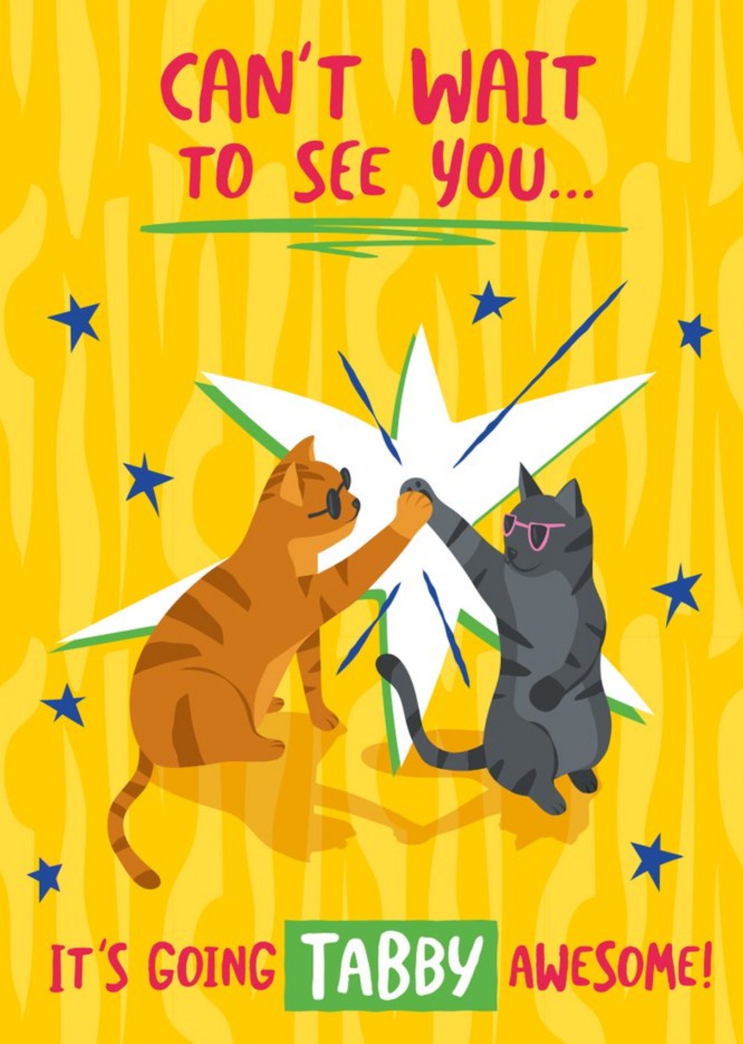 Funny Cant Wait To See You Cat Card Ecard