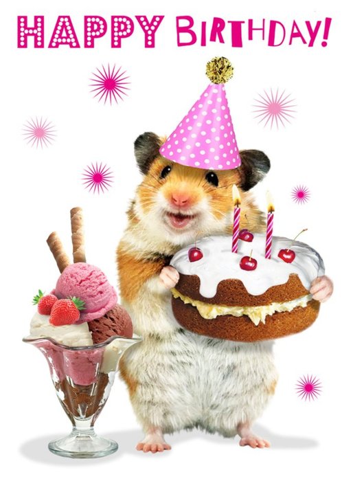 Cute Hamster With Cake And Ice Cream Sundae Birthday Card
