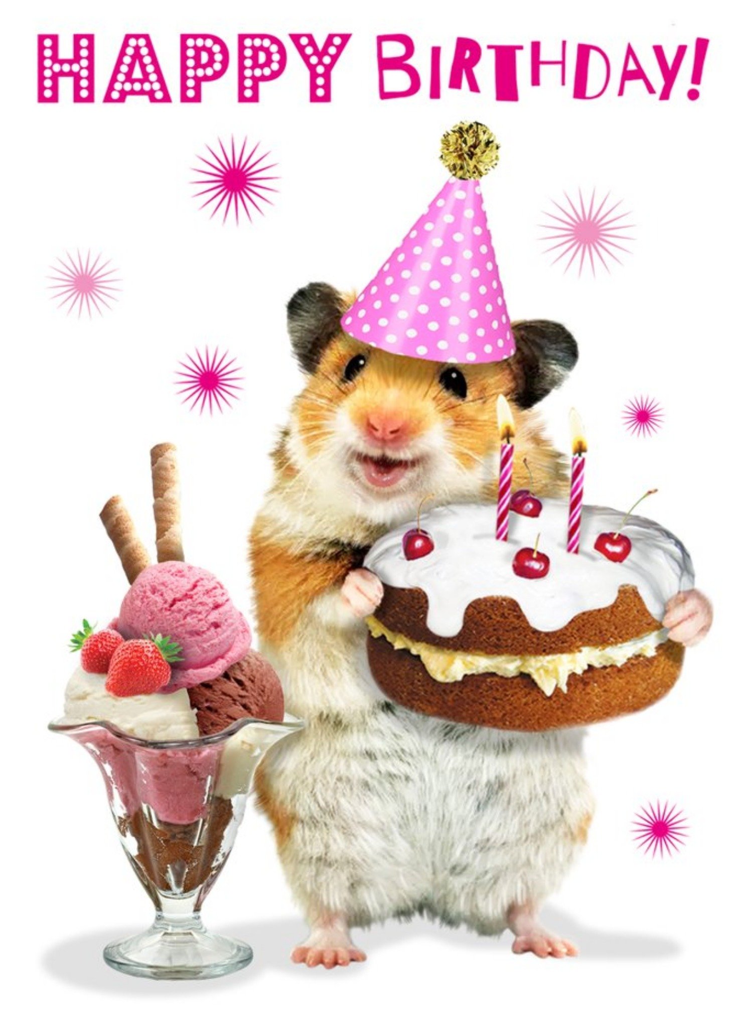Moonpig Cute Hamster With Cake And Ice Cream Sundae Birthday Card, Large