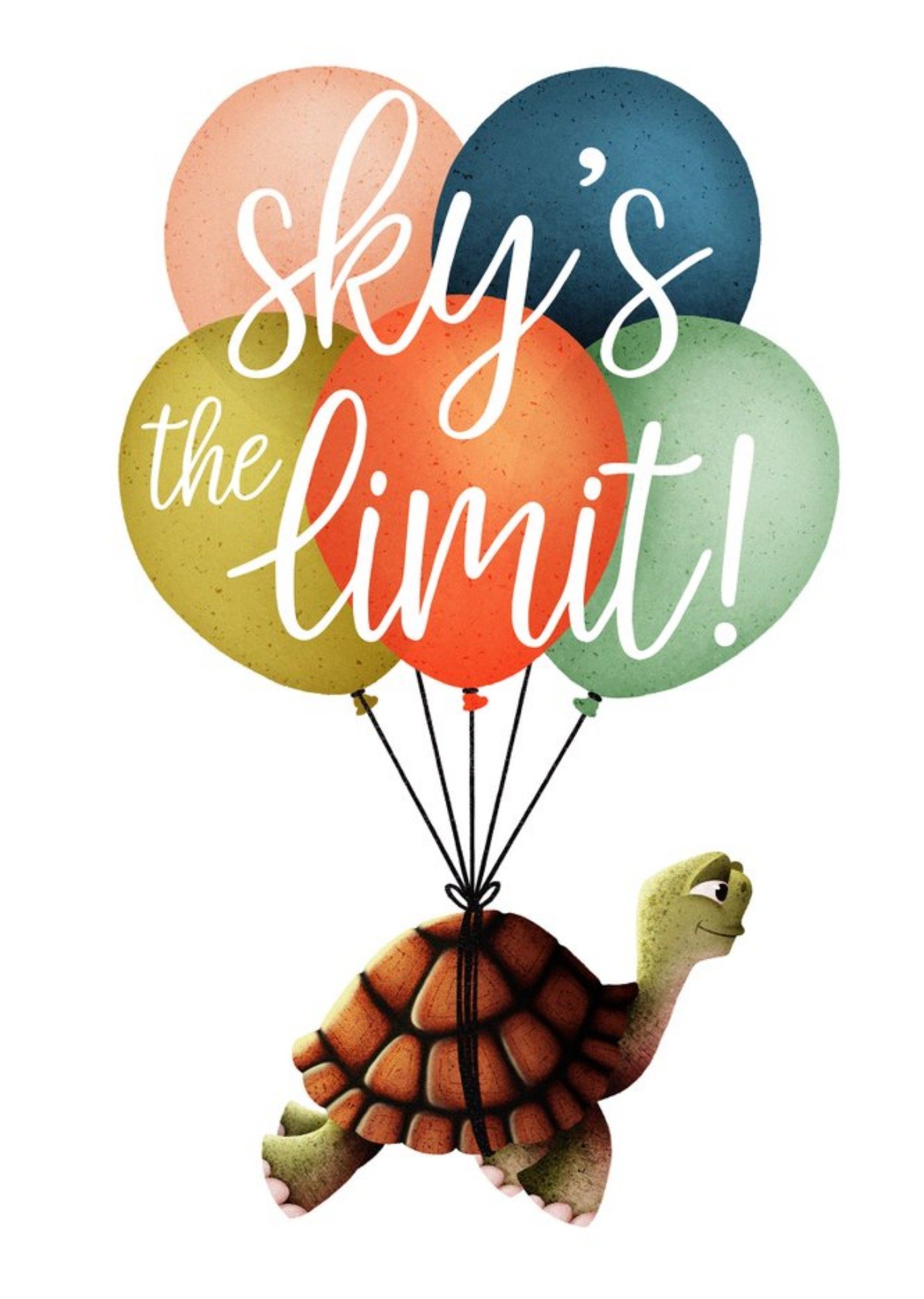 Other Folio Turtle Flying Skys The Limit Card Ecard