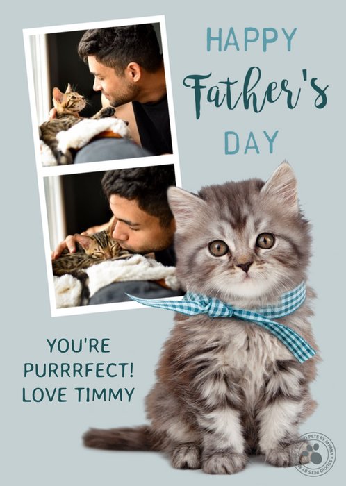 Cute Studio Pets From the Cat Photo Upload Father's Day Card