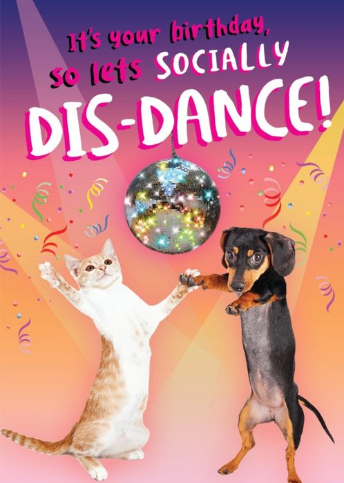 Cat And Dog Disco Covid Lets Socially Dis Dance Disco Lockdown Birthday Card