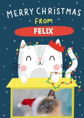 Illustration Of A Cute Cat Surrounded By Festive Lights From The Cat Photo Upload Christmas Card