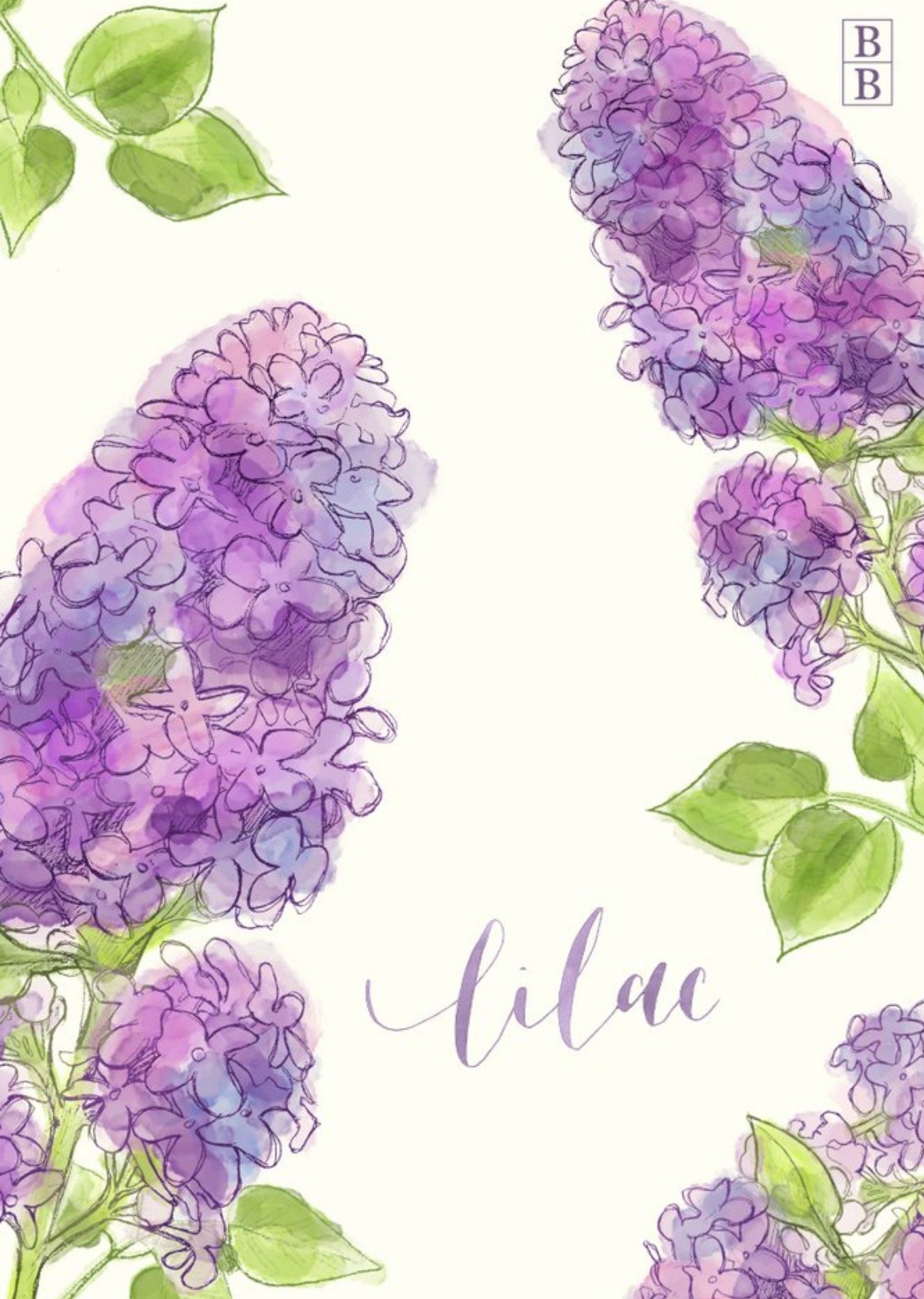 Illustrated Lilac Flower Personalised Card Ecard