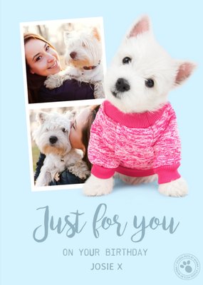 Cute Puppy Just For You On Your Birthday Photo Upload Card