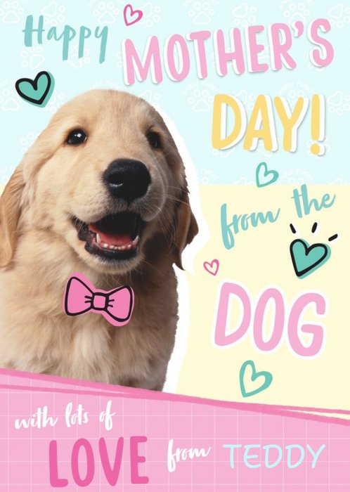 Animal Planet Happy Mother's Day From The Dog Cute Card