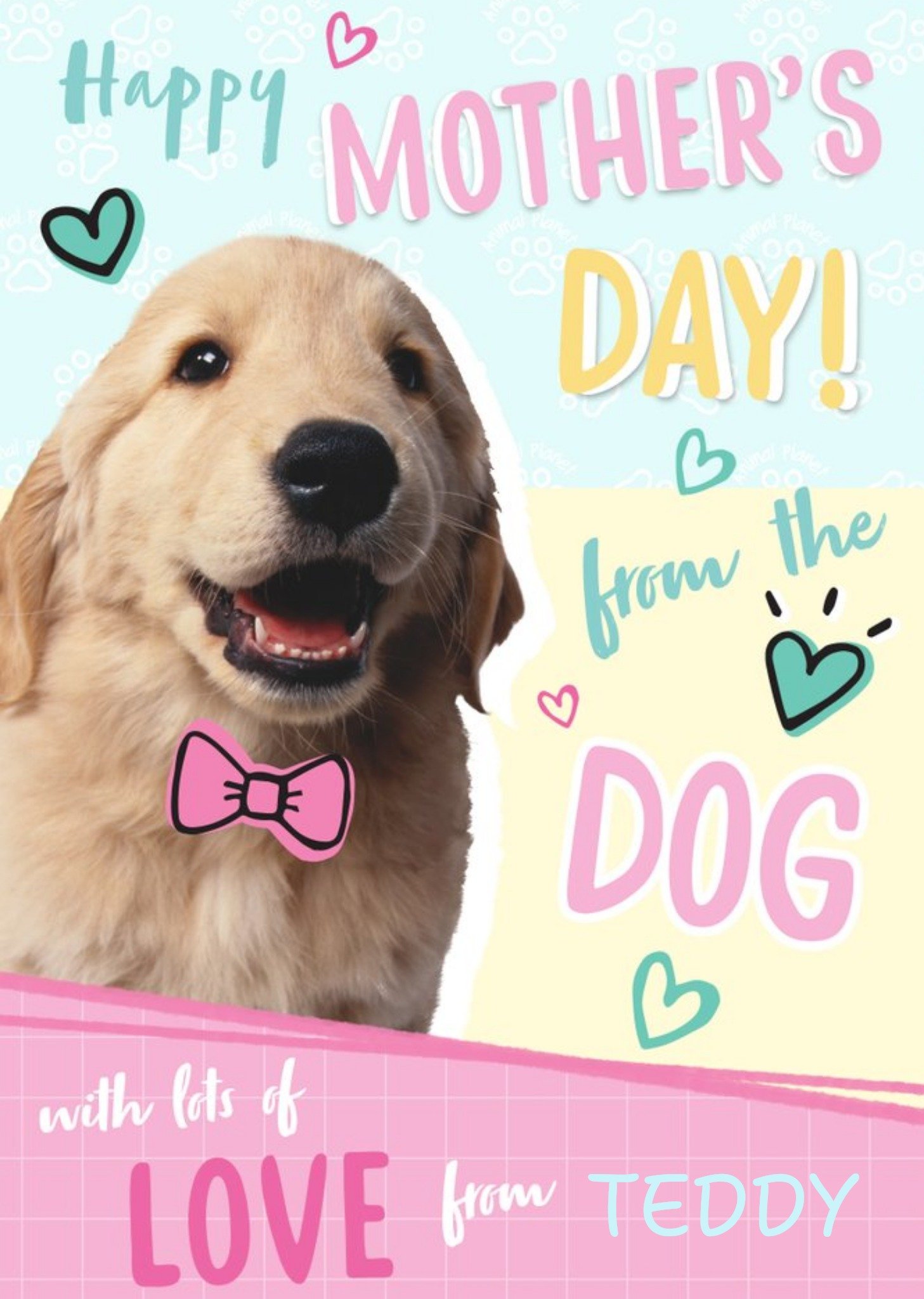Moonpig Animal Planet Happy Mother's Day From The Dog Cute Card Ecard