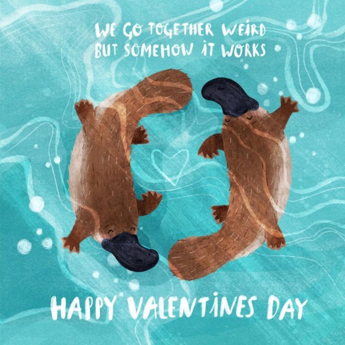 Rachel Gyan Illustrated Cute Platypus Valentine's Card
