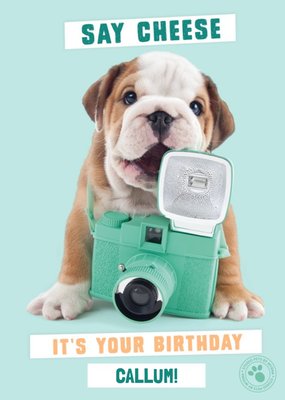 Cute Bulldog  holding vintage camera - Personalised Birthday Card