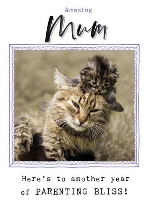 Amazing Mum Cat Photo Card