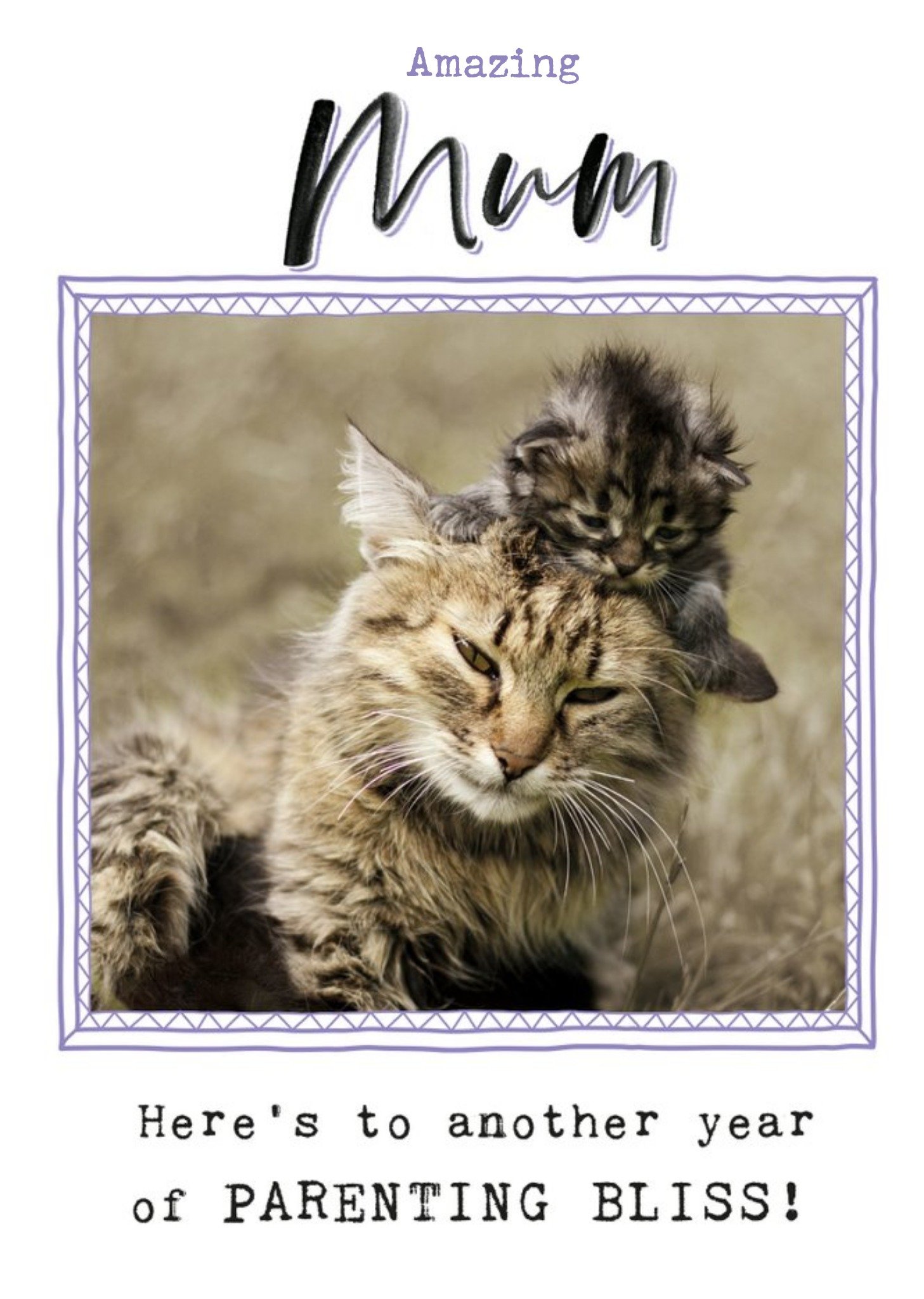 Amazing Mum Cat Photo Card Ecard