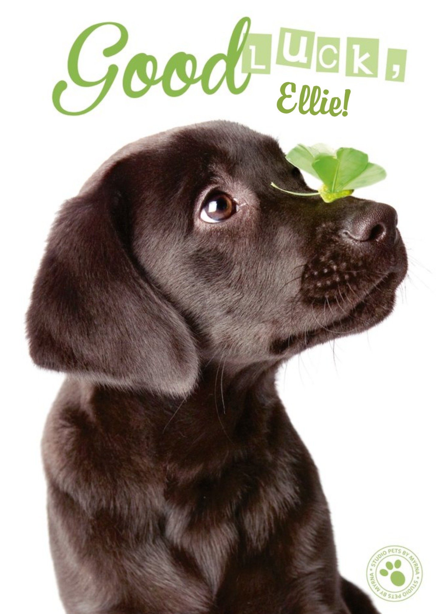 Studio Pets Personalised Good Luck Labrador Card, Large