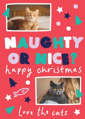 Naughty Or Nice Love The Cats Photo Upload Christmas Card