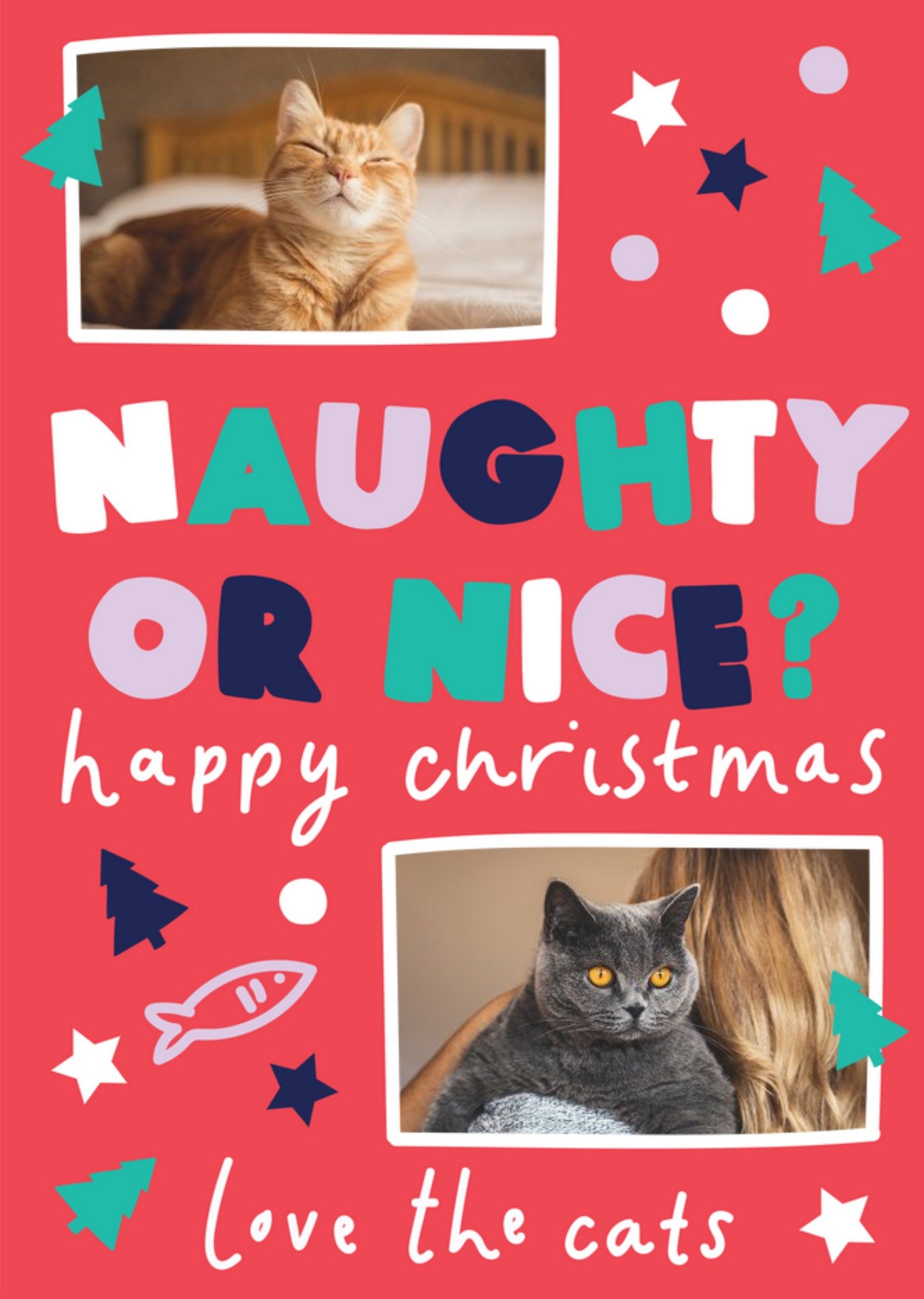 Moonpig Naughty Or Nice Love The Cats Photo Upload Christmas Card, Large