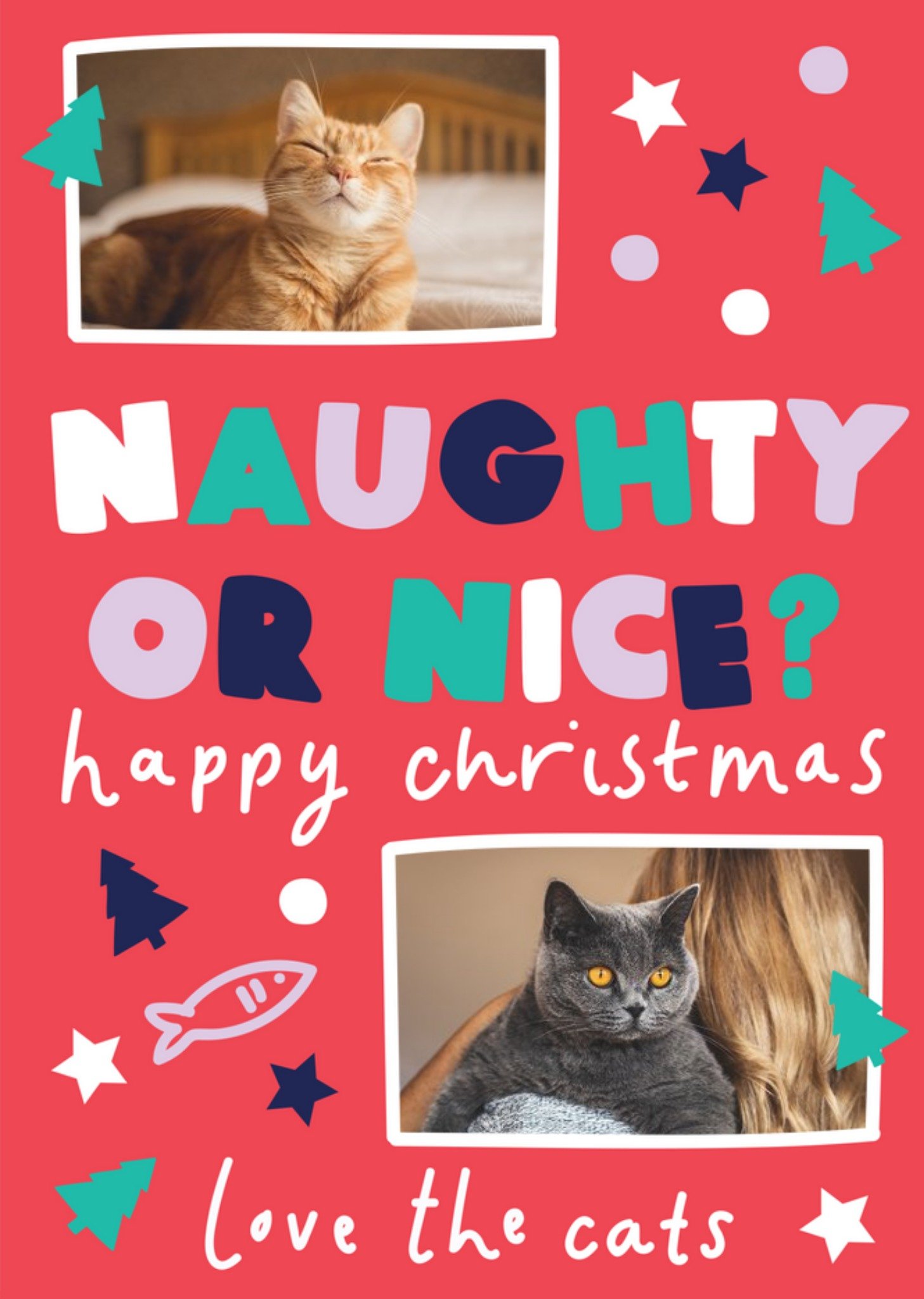 Naughty Or Nice Love The Cats Photo Upload Christmas Card Ecard