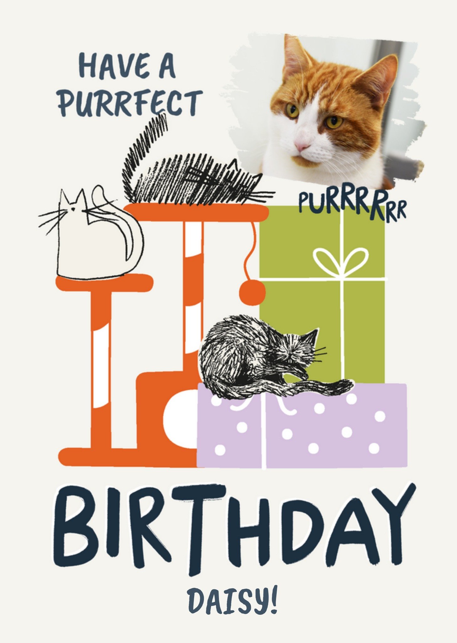 Moonpig Have A Purrfect Birthday Photo Upload Card, Large