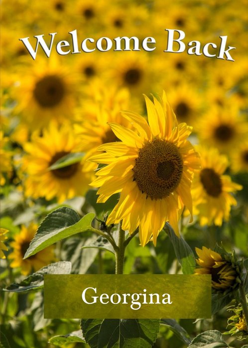 Alex Sharp Photography Sunflower Personalised Welcome Back Card