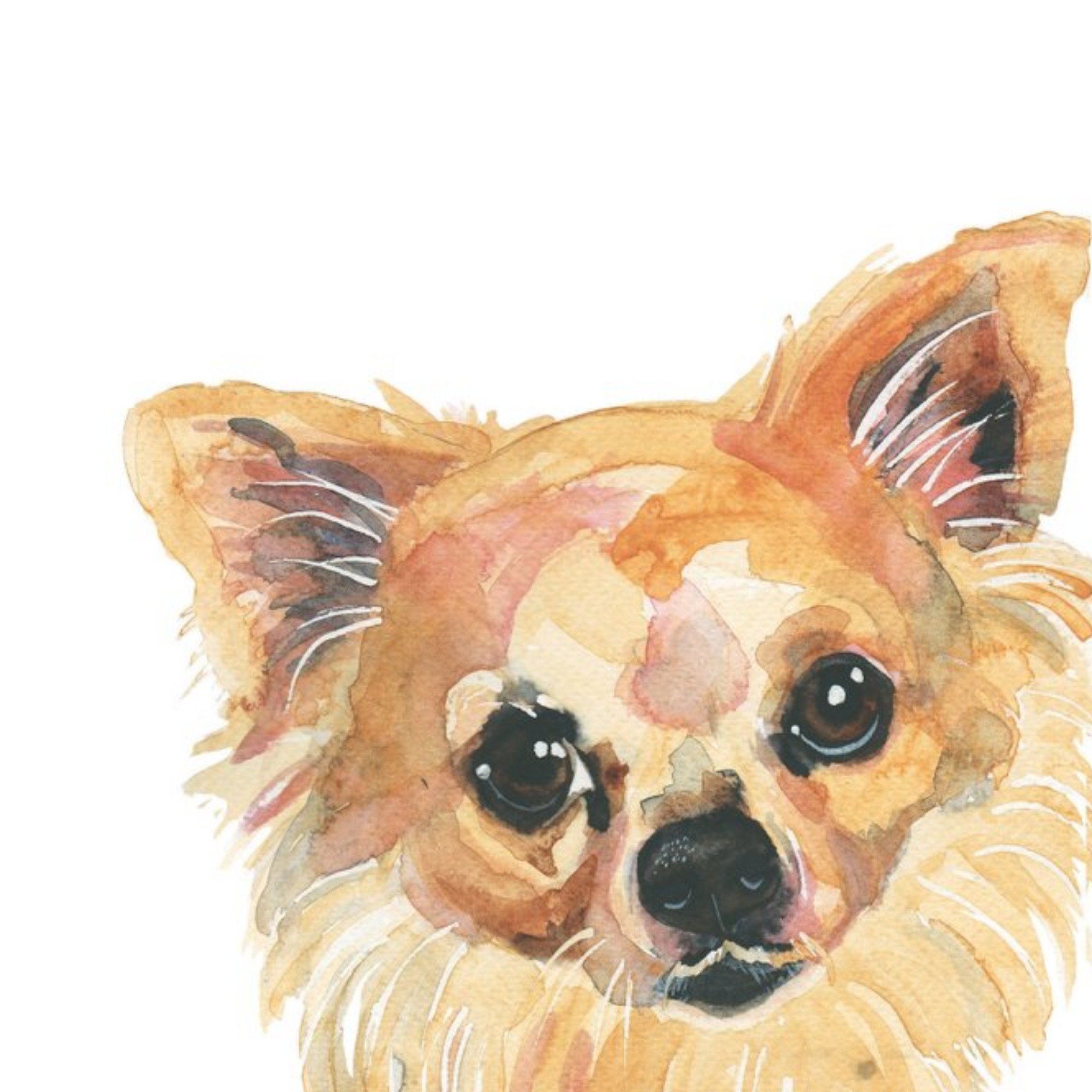 Moonpig Illustrated Watercolour Chihuahua Dog Just A Note Card, Large