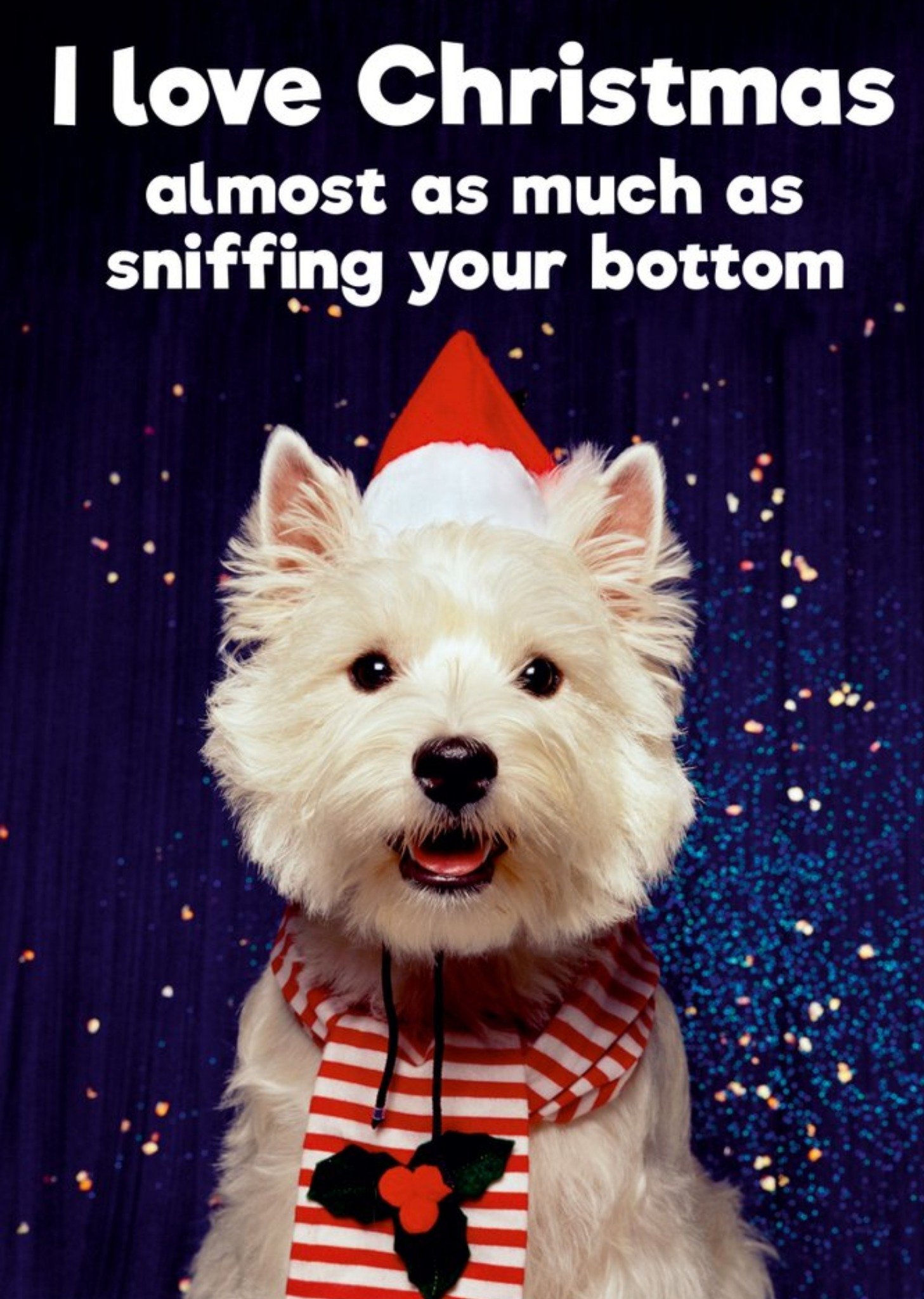 Moonpig Dean Morris Funny Dog I Love Christmas Card, Large