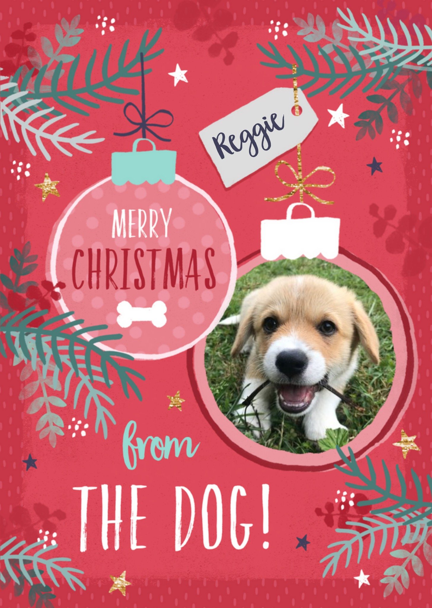 Moonpig Studio Sundae Merry Christmas From The Dog Photo Upload Christmas Card Ecard