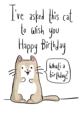 Illustration Of A Cute Cat What's A Birthday Card
