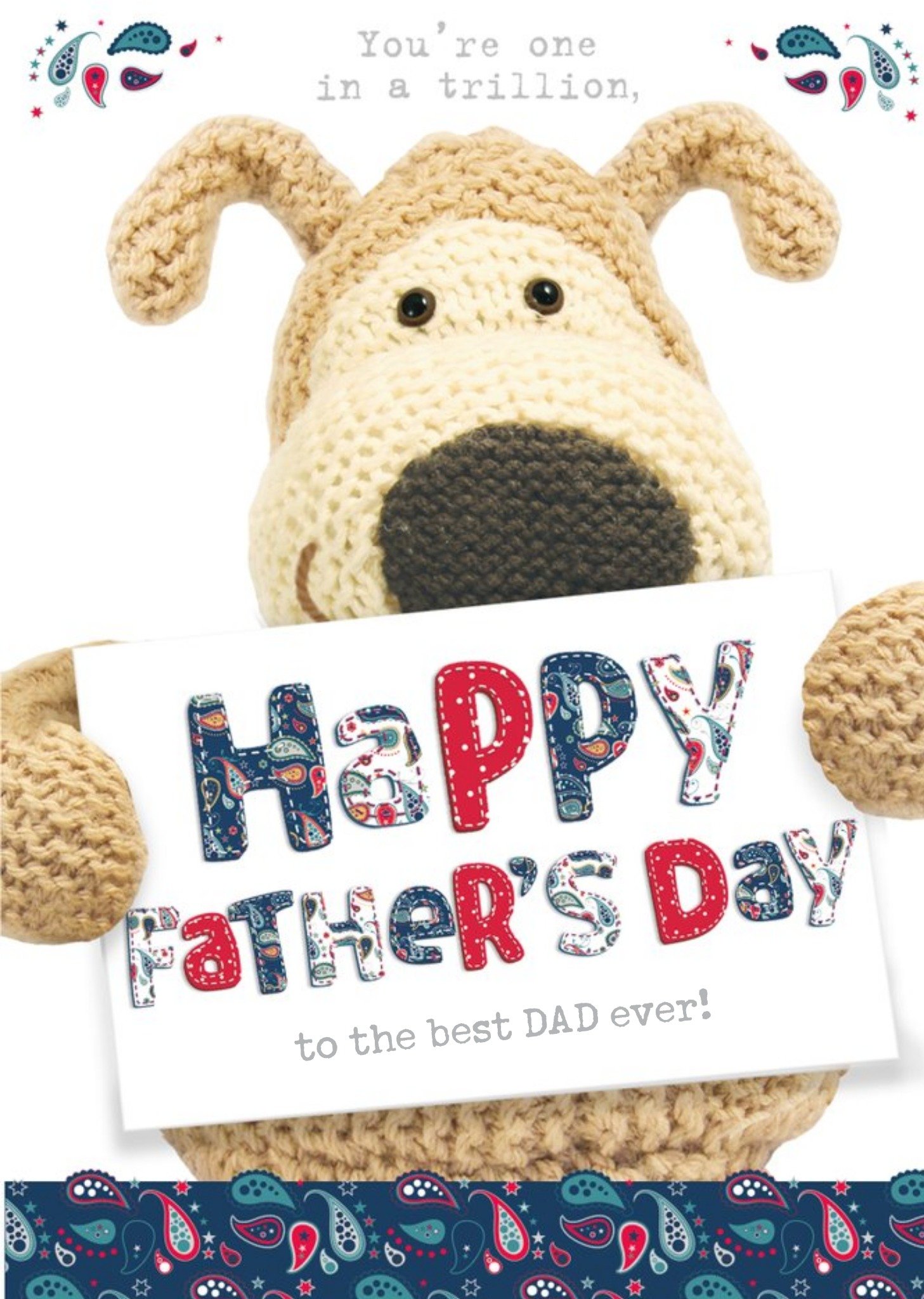 Boofle You Are One In A Trillion Happy Fathers Day Card, Large