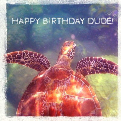 Underwater Turtle Dude Personalised Happy Birthday Card
