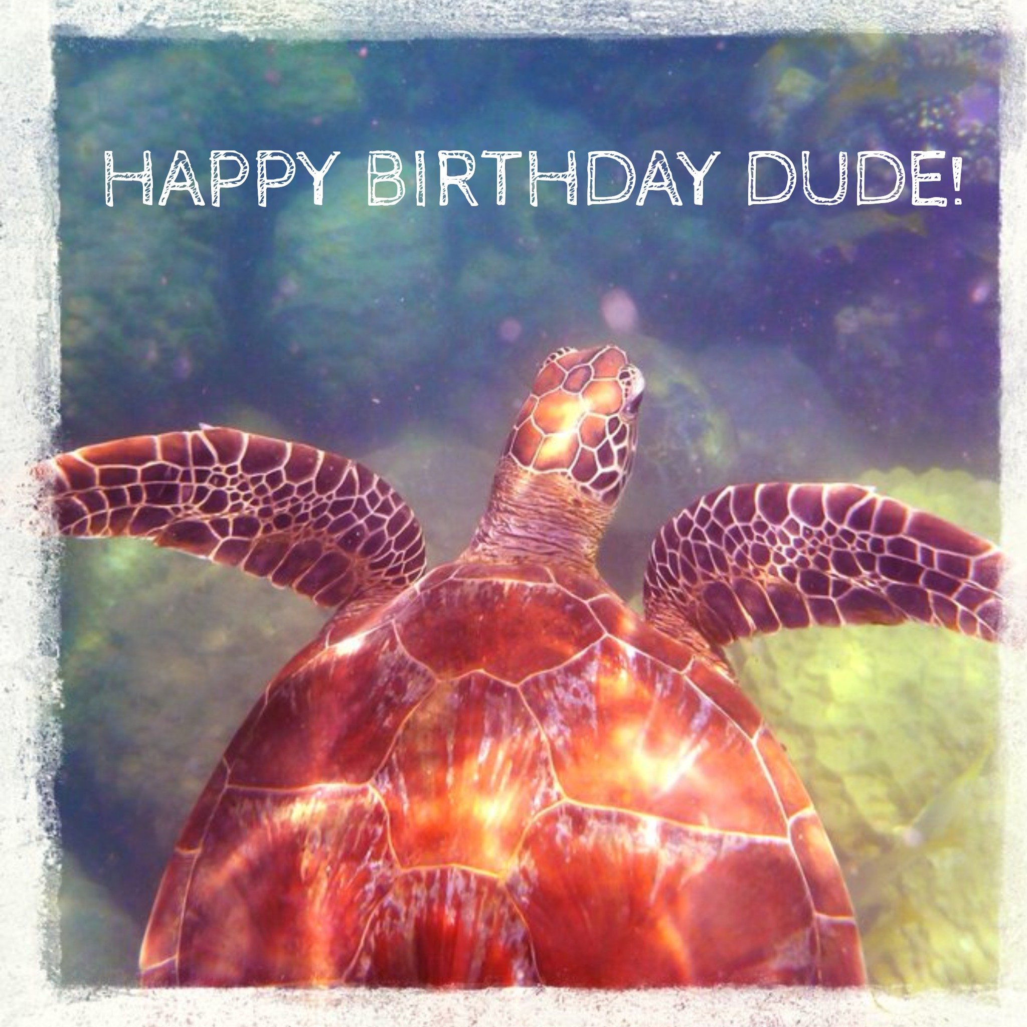 Moonpig Underwater Turtle Dude Personalised Happy Birthday Card, Square
