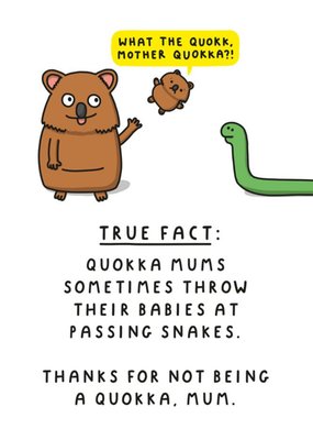 Funny Quokka Birthday Card