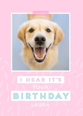 Female modern Birthday Card for her with labrador dog
