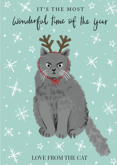 Christmas Wishes Personalied Christmas Card from the Cat