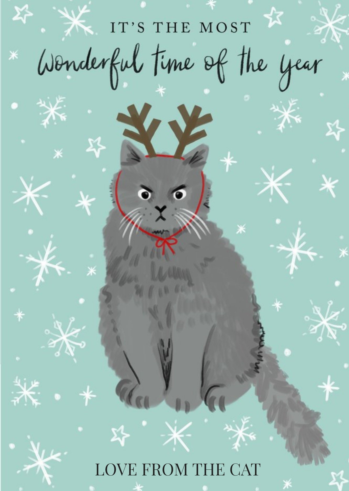 Okey Dokey Design Christmas Wishes Personalied Christmas Card From The Cat