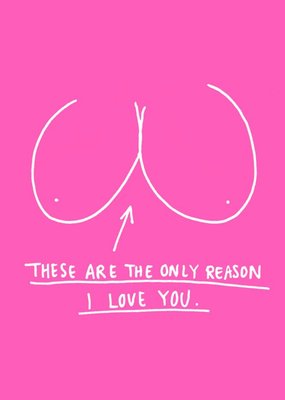 Funny Cheeky Rude The Only Reason I Love You Boobs Card