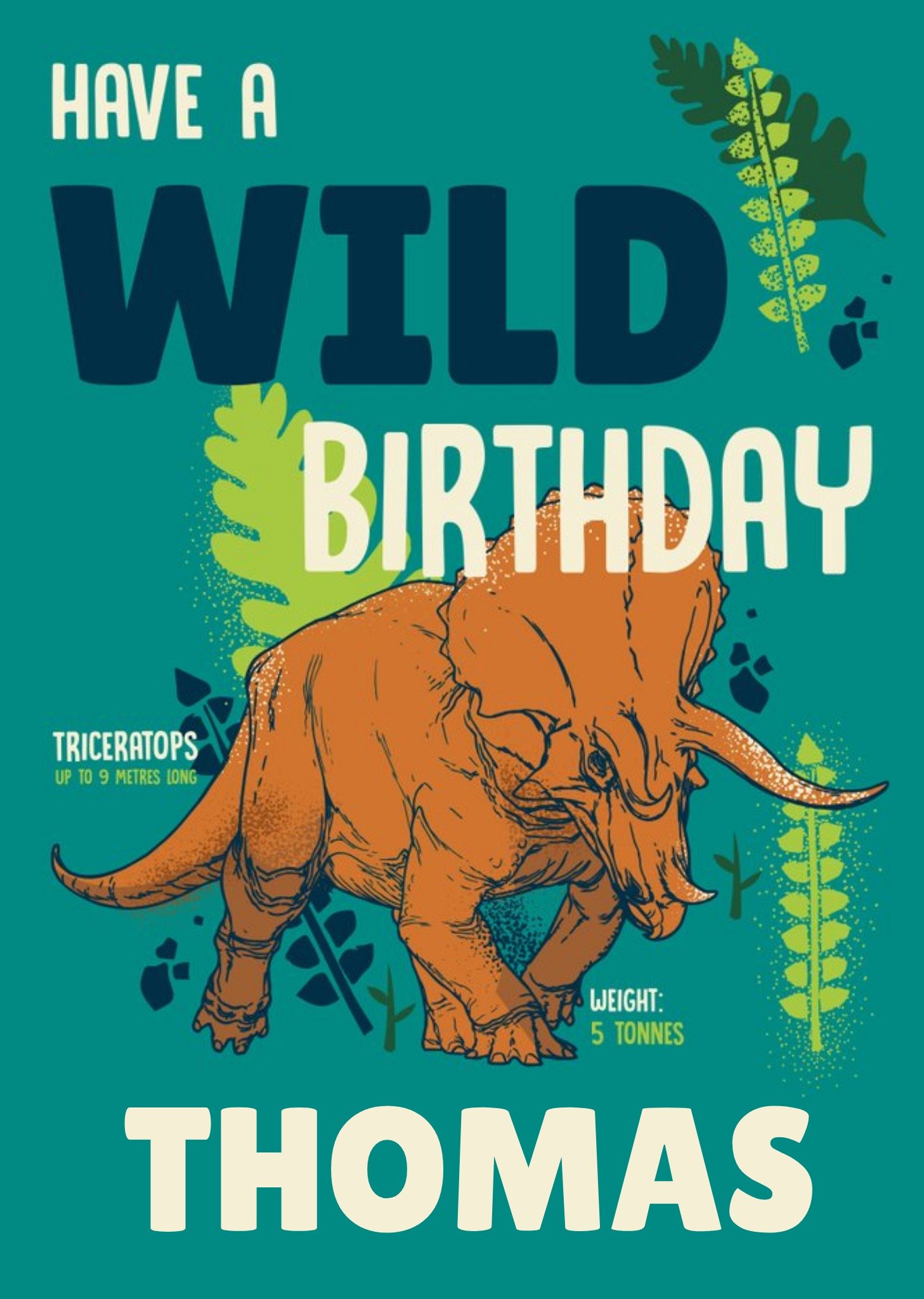 The Natural History Museum Natural History Museum Triceratops Birthday Card Ecard