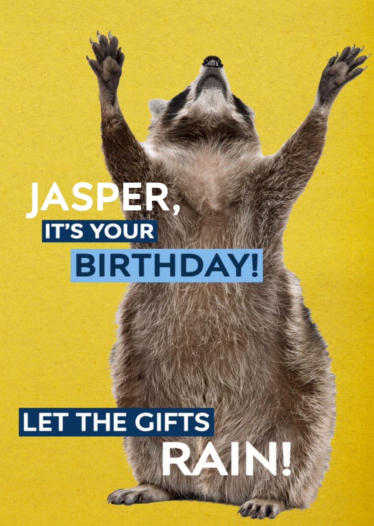 Birthday Card - Photo Humour - Animal Antics - Birthday Gifts Ecard