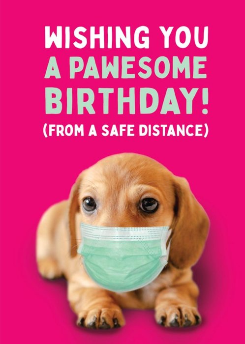 Dog Face Mask Covid From A Safe Distance Wishing You A Pawesome Birthday Card