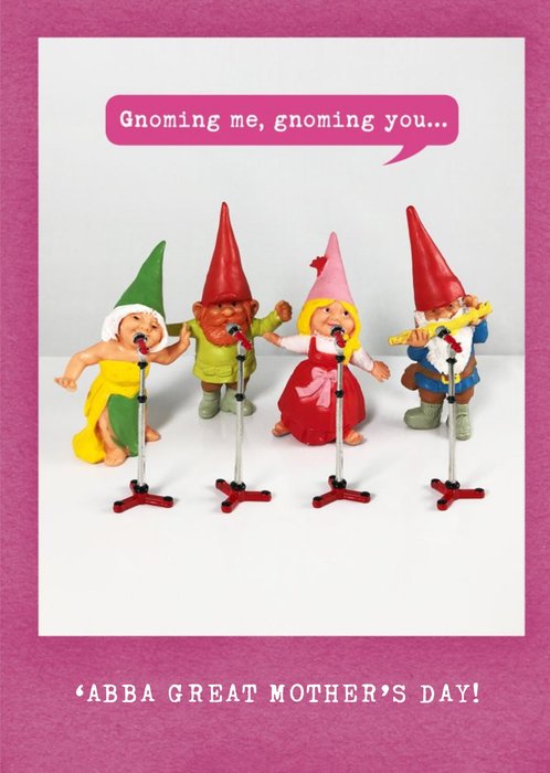 Gnoming Me And You Funny Abba Mother's Day Card